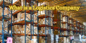 What is a Logistics company