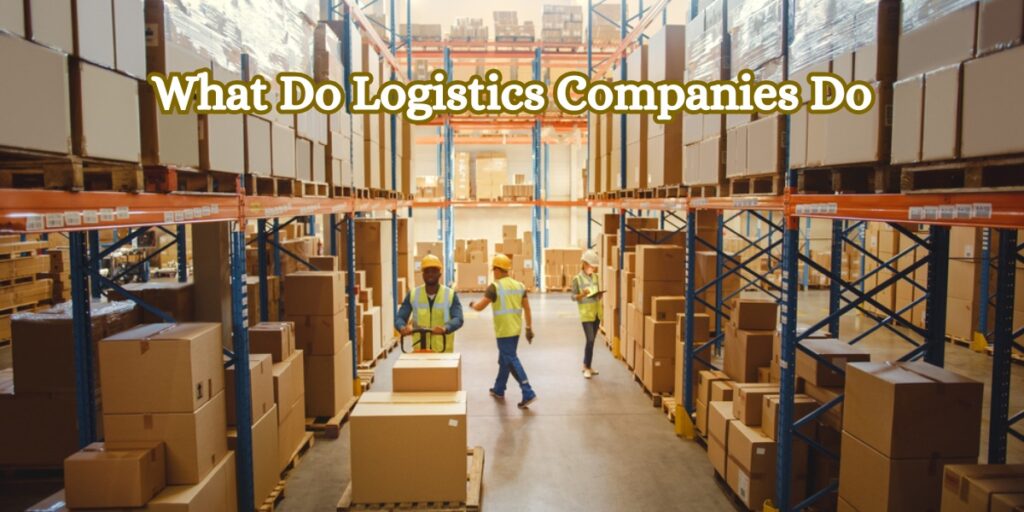 What Do Logistics Companies Do