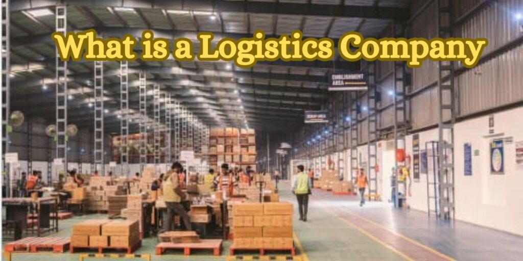 What is a Logistics company