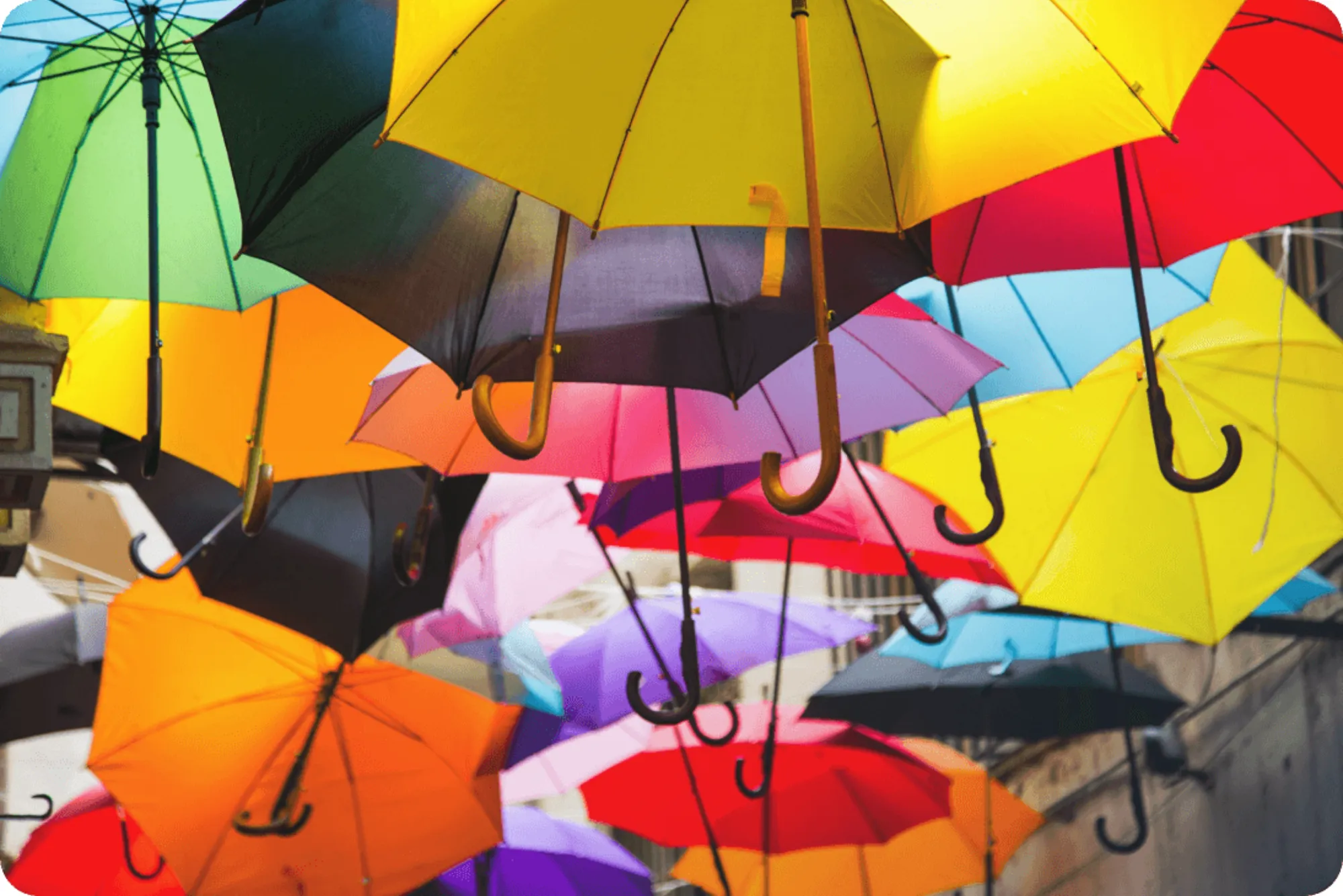 list of hmrc approved umbrella companies